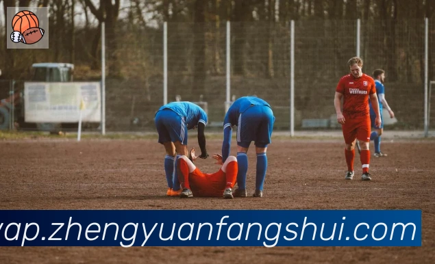 华体育app官网登录入口APP 封面图