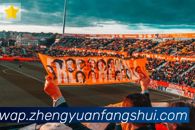 华体育app官网登录入口荣誉