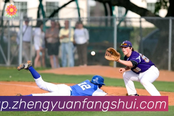 华体育app官网登录入口荣誉