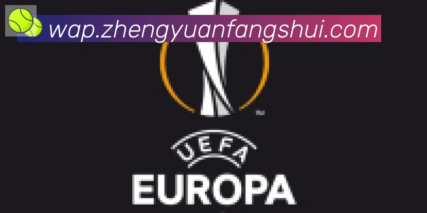 华体育app官网登录入口合作伙伴