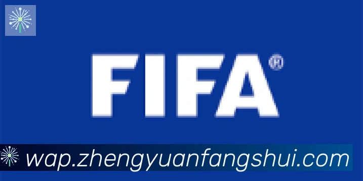 华体育app官网登录入口合作伙伴